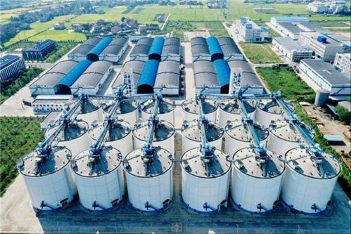 湖南春耕 不只是泥巴味，更是技術服務的芬芳